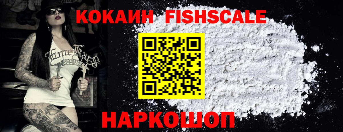 КОКАИН FishScale  Вход с VPN  Cocaine Эквадор  Елизово 