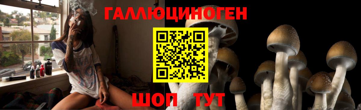 Галлюциногенные грибы мицелий Елизово