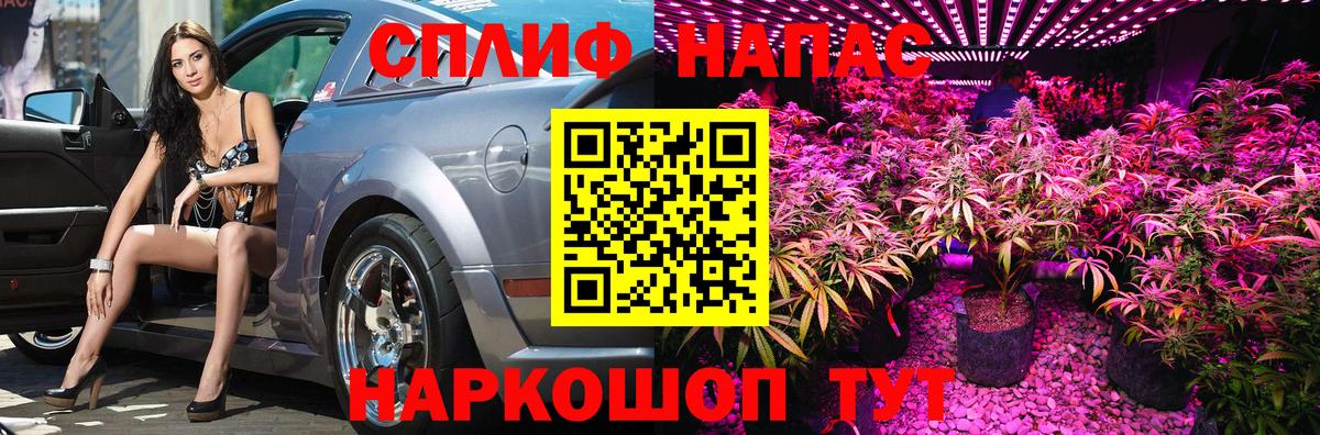 Бошки марихуана THC 21% Елизово